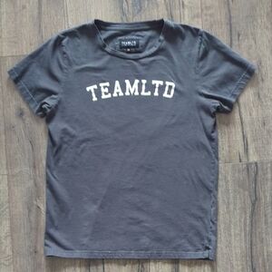 TEAMLTD Men's Grey T-Shirt